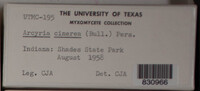 Image Associated With the Occurence